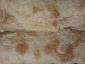 sfoglia ripiena